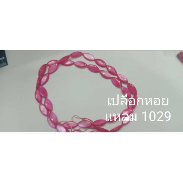 เปลือกหอยแหลม